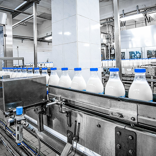 Navigating Milk and Curd Packaging: Key Features to Consider When Choosing a Filling Machine